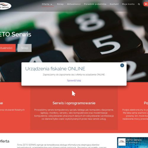 Opole - kasa typu online