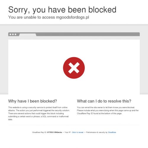 Dysk do rzucania dla psa