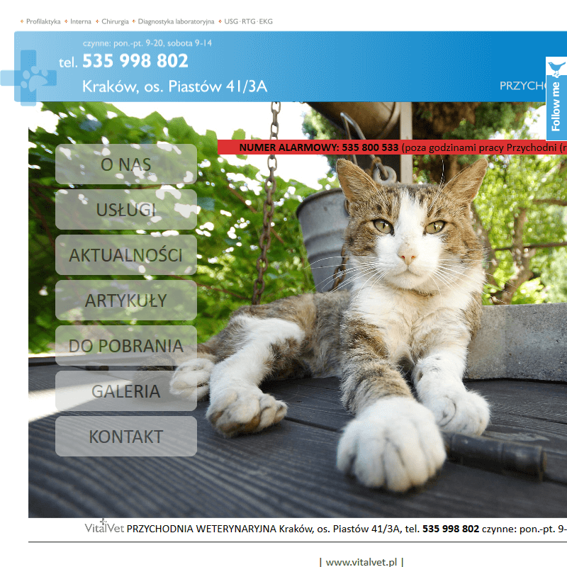 Fryzjer dla psów w Skawinie